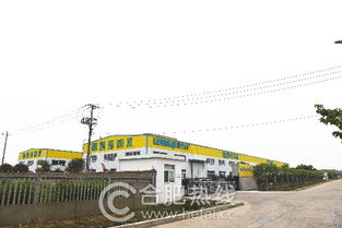 家裝防水貓膩多 合肥論壇實(shí)探,為您揭秘防水涂料的制作過程